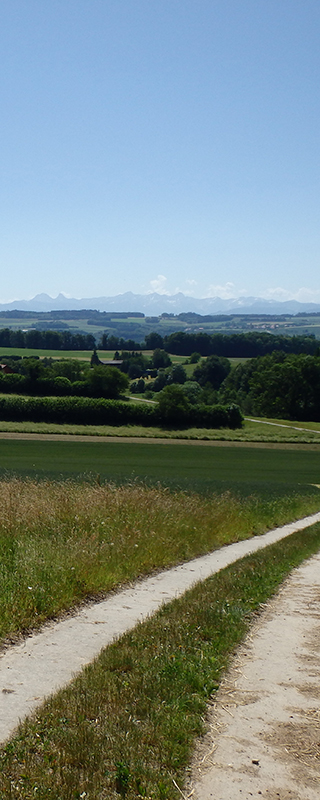 Photo paysage réso oqe Beauregard